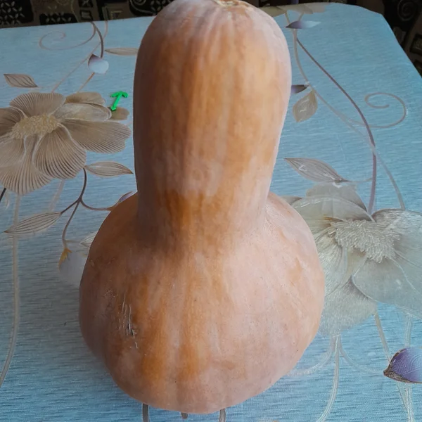 Фасоль