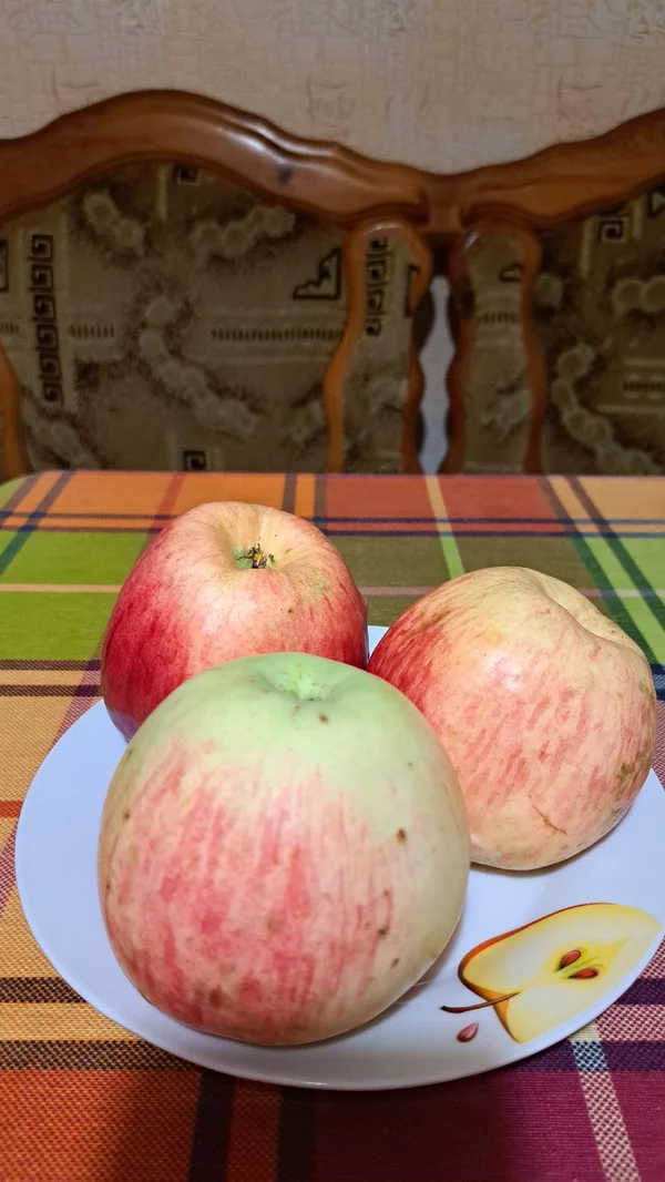 Яблоки