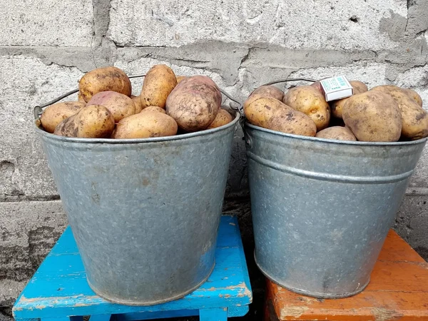 Картофель