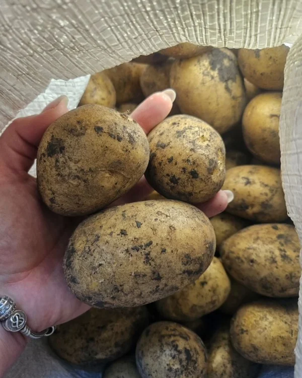 Картофель