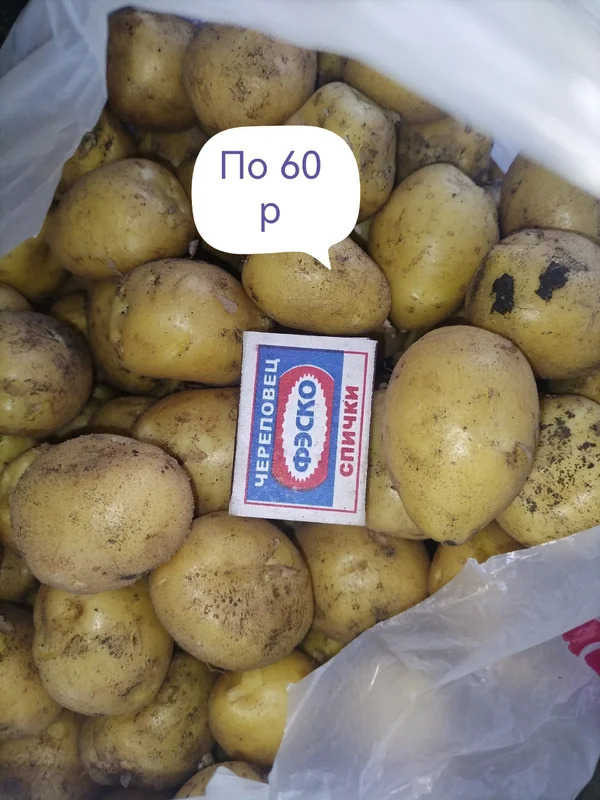 Молодая картошечка