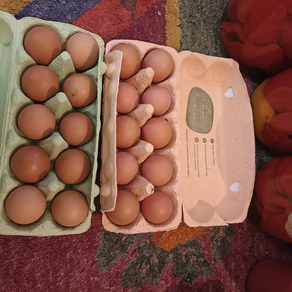 Огурцы