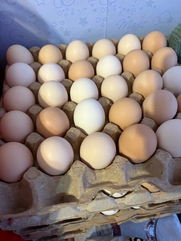 Яички домашние