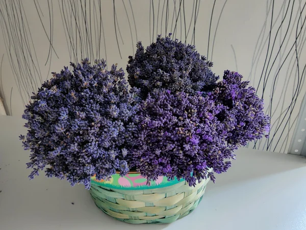 Пучки лаванды
