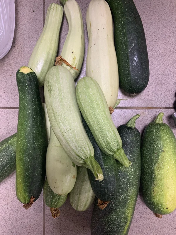 Кабачки