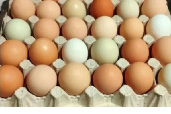 Деревенские яйца