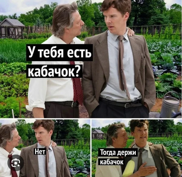 Кабачки и патиссоны