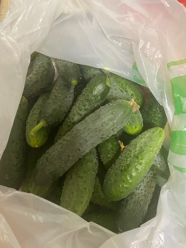 Огурцы