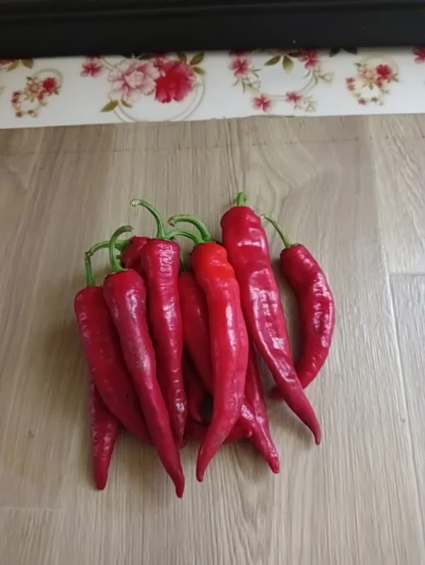 Картофель