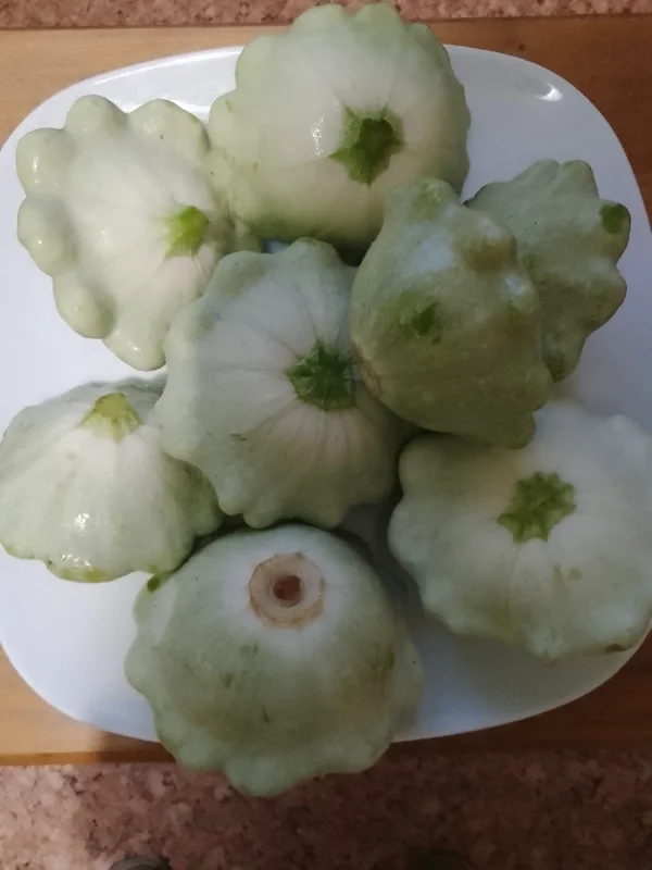 Патиссоны
