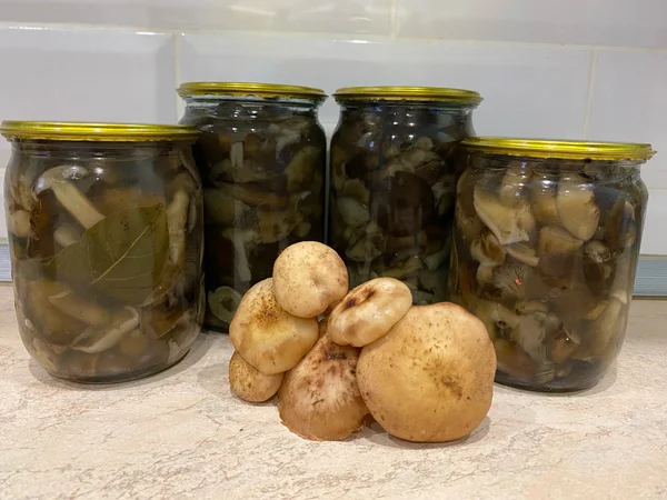 Маринованные грибы опята