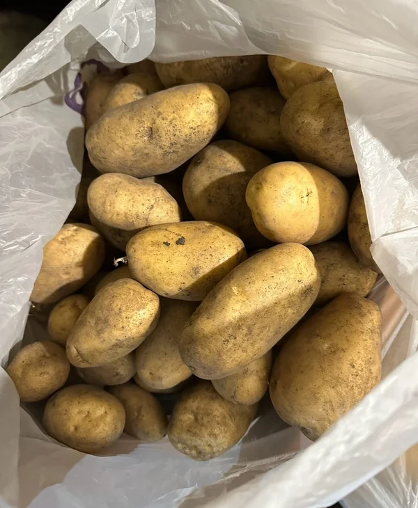 Домашний картофель