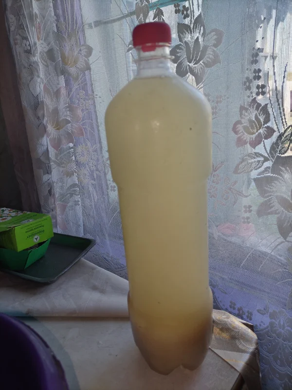 Квас на закваске, с мятой