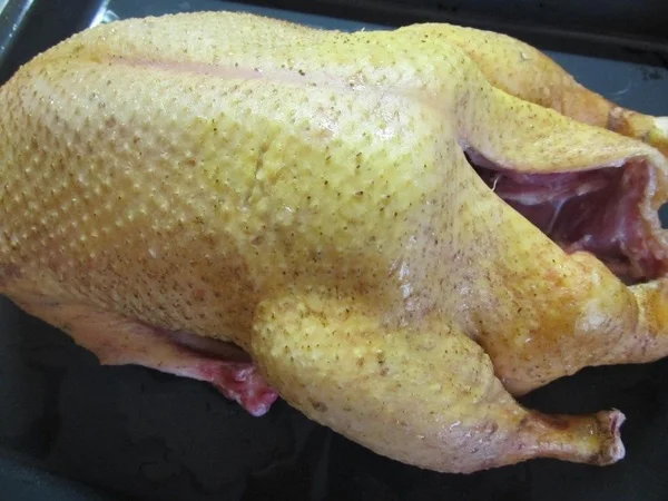 Мясо домашней индоутки