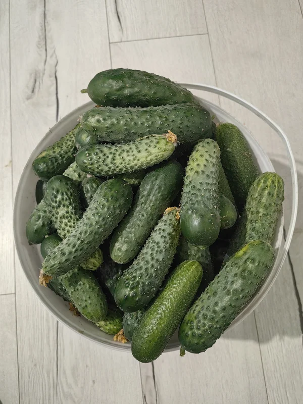 Огурчики