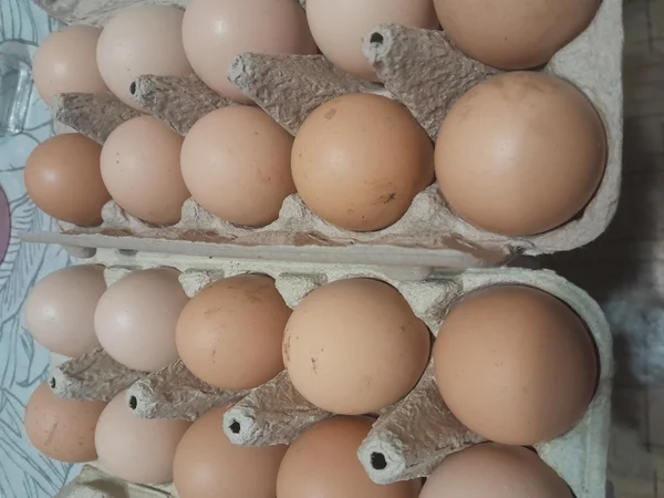 Куриные яйца