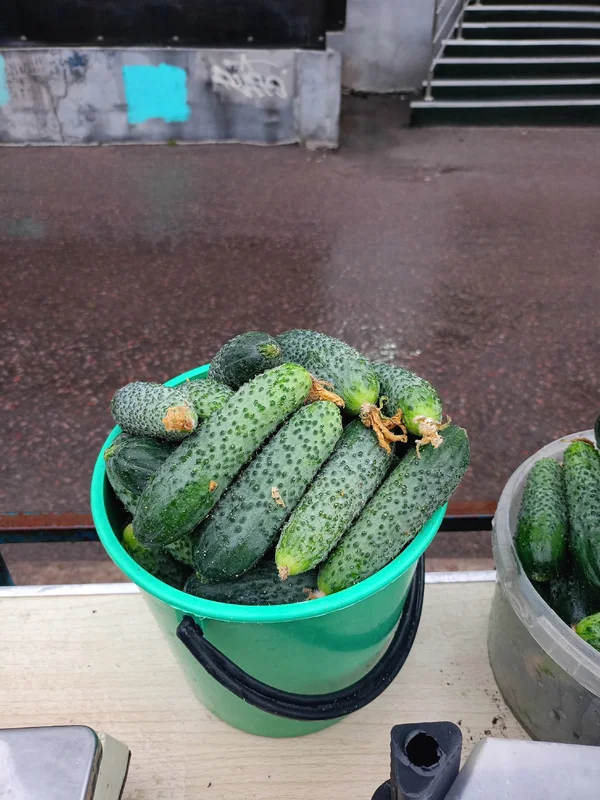 Огурчики