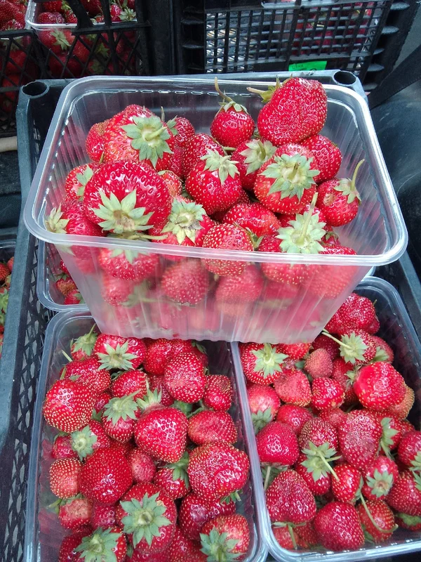 Клубника