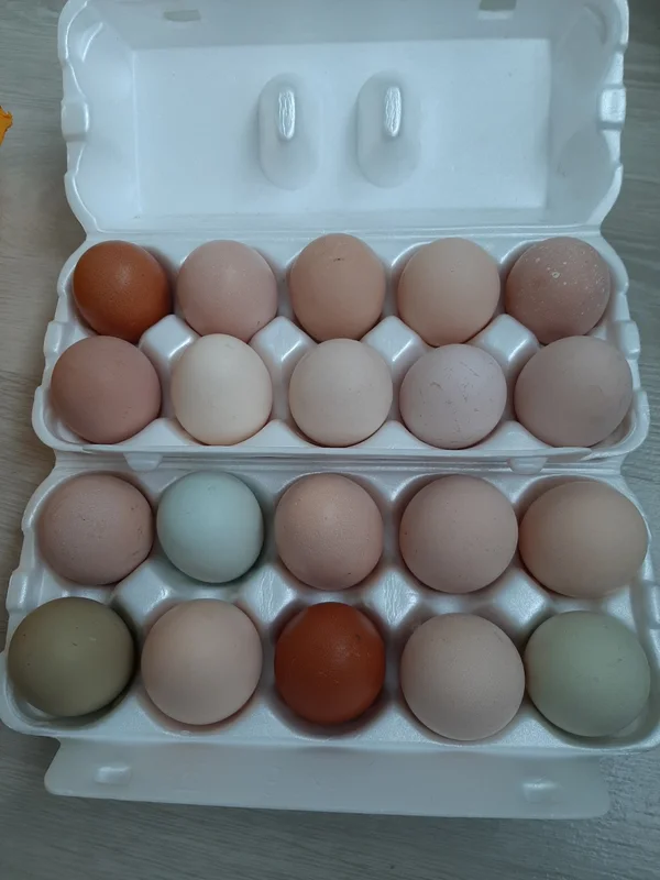 Куриные яйца