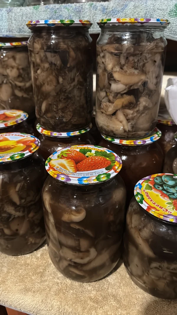 Маслята