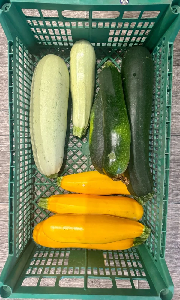Кабачки