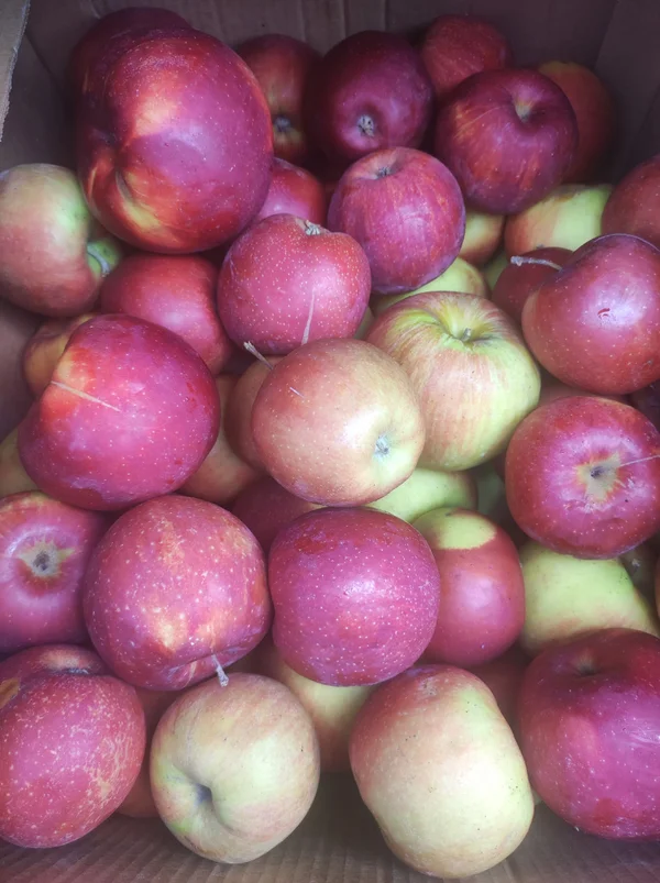 Яблоки