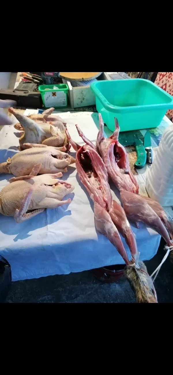 Мясо кролика