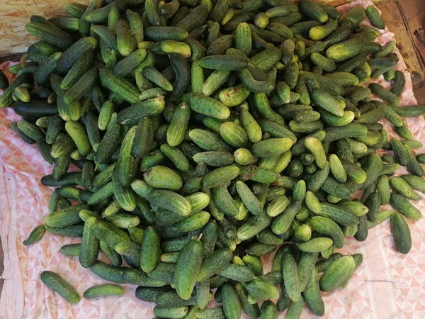 Картофель сорт фламинго