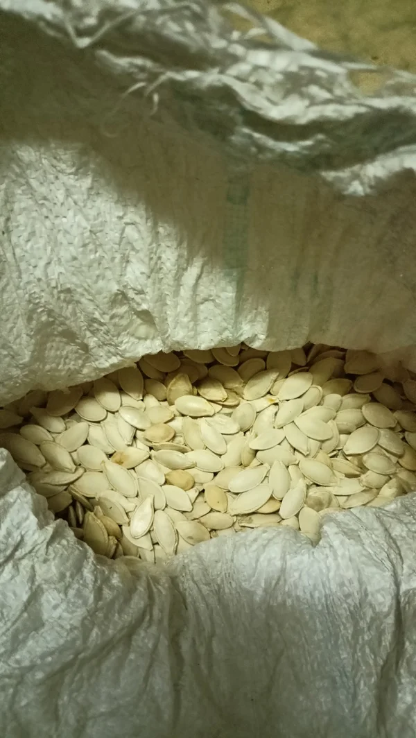 Семечки тыквенные сухие