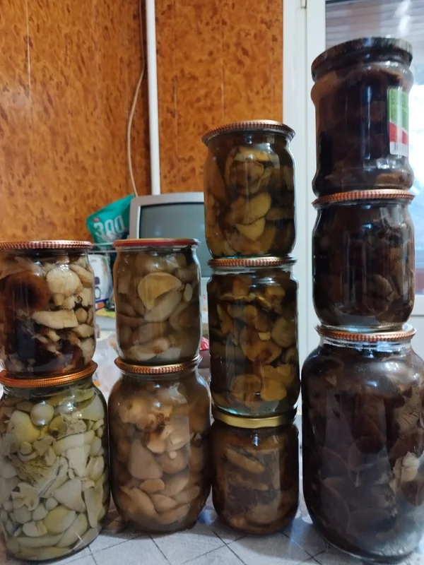 Опята маринованные