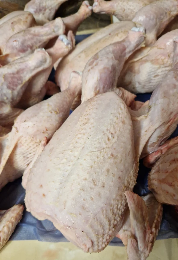 Домашние бройлеры