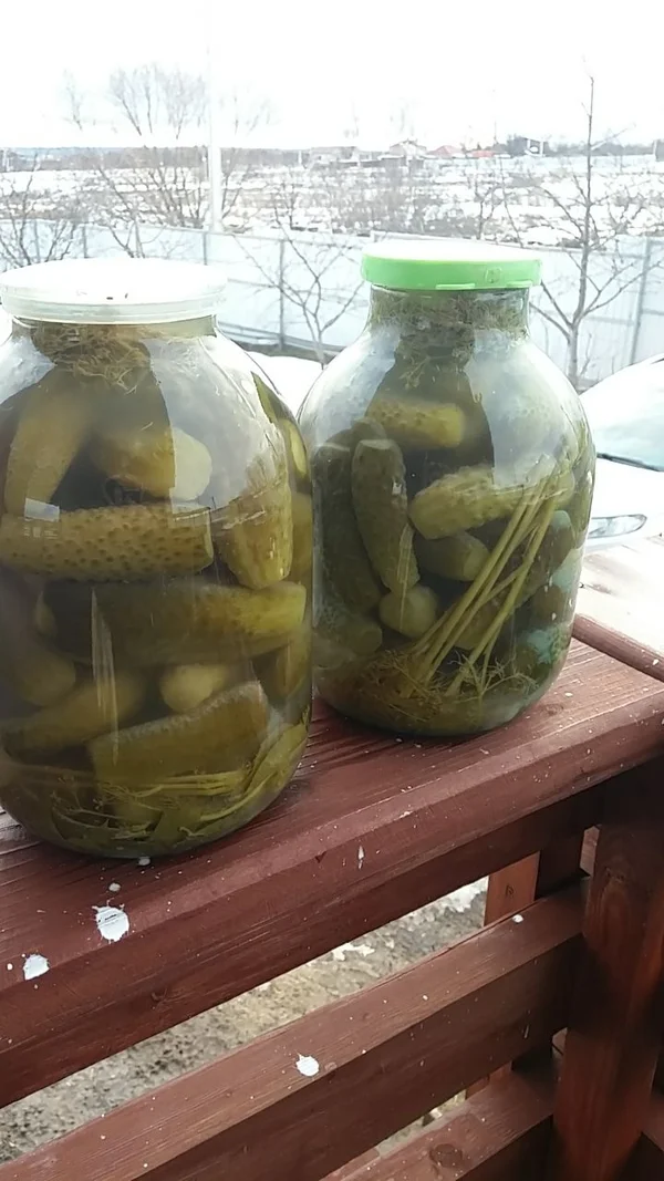 Огурцы бочковые