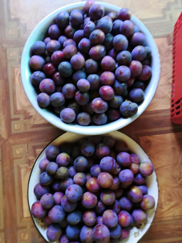 Сливы
