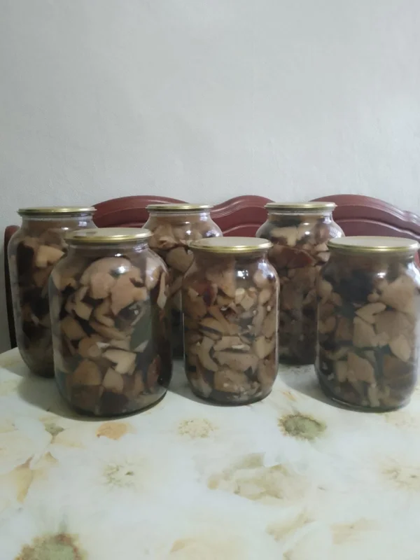 Грибы тополиная рядовка маринованные