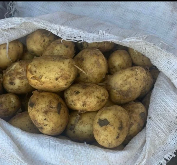 Картофель