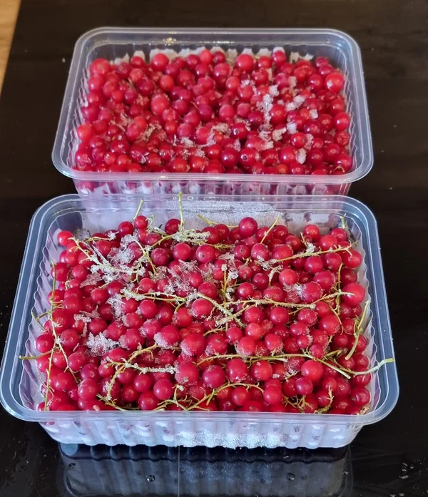 Крыжовник красный не кислый