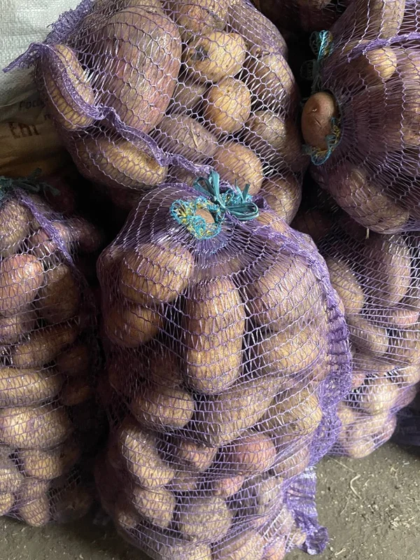 Картофель