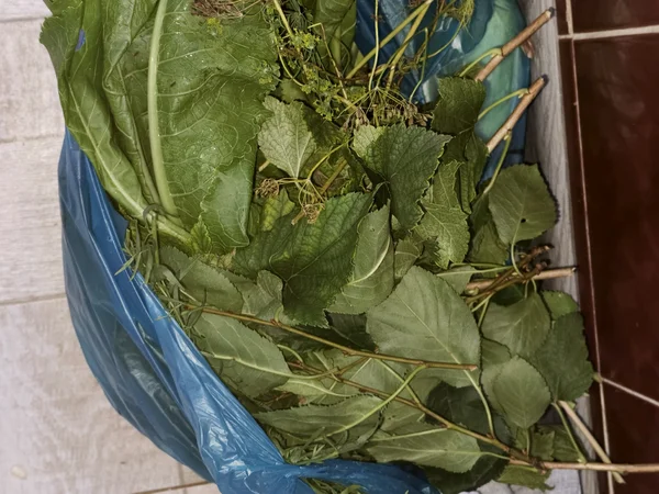 Засолки