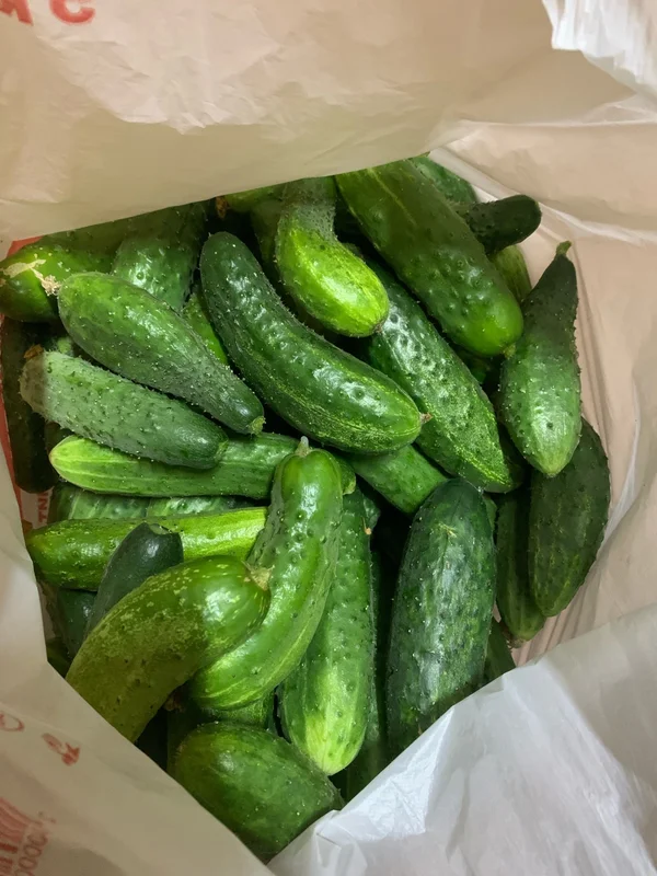 Огурчики