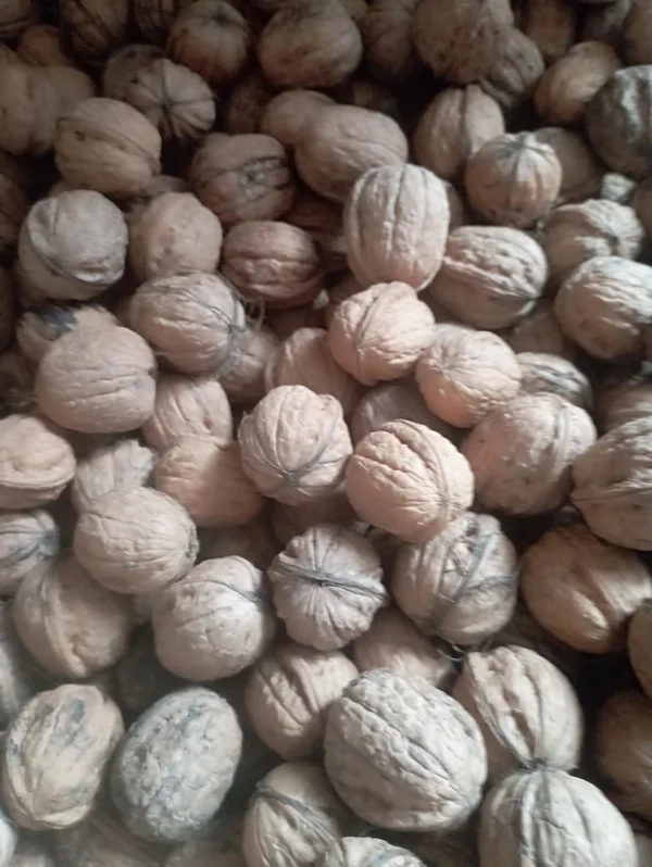 Грецкие орехи