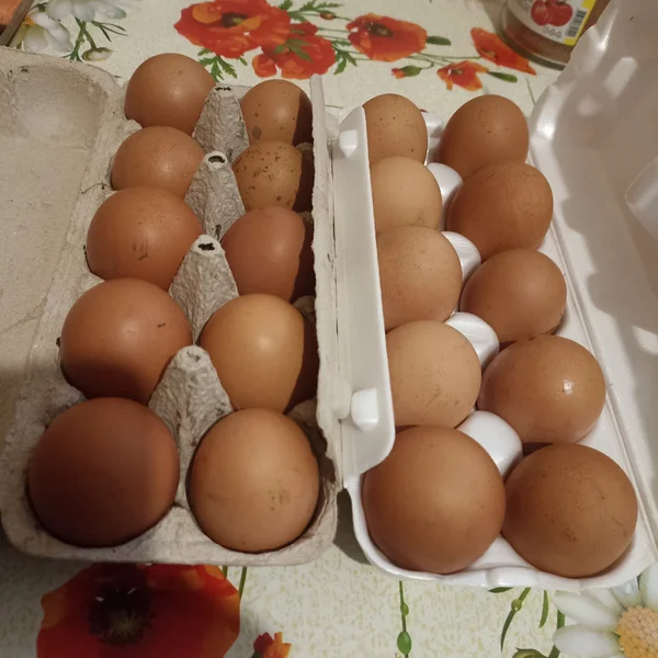 Яйцо от домашних курочек