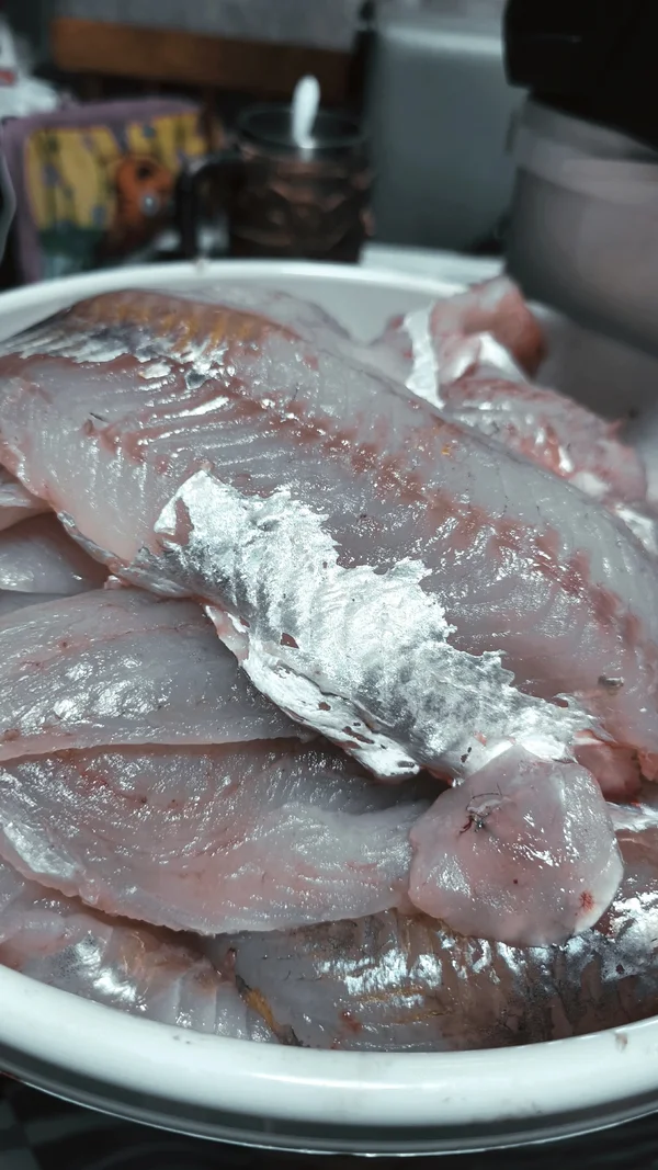 Фарш Судака