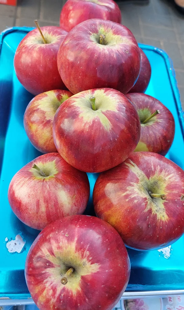 Яблоки Россошанка
