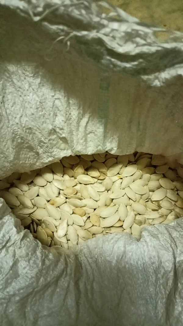 Замороженные стрелки чеснока