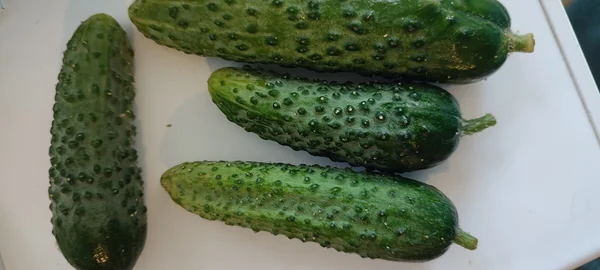 Огурцы