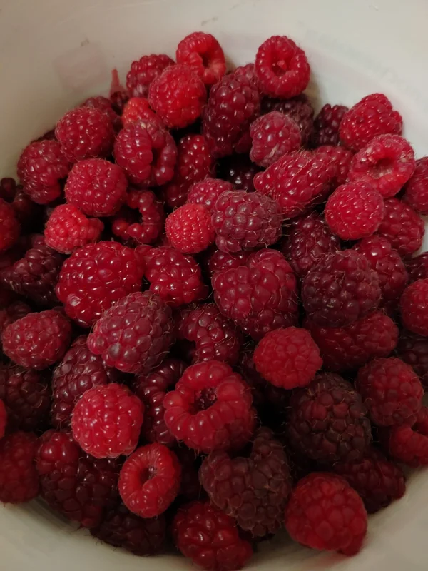 Малина