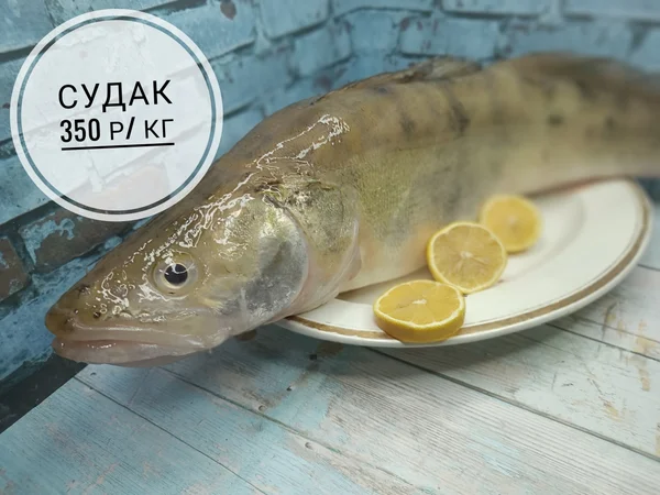 Судак