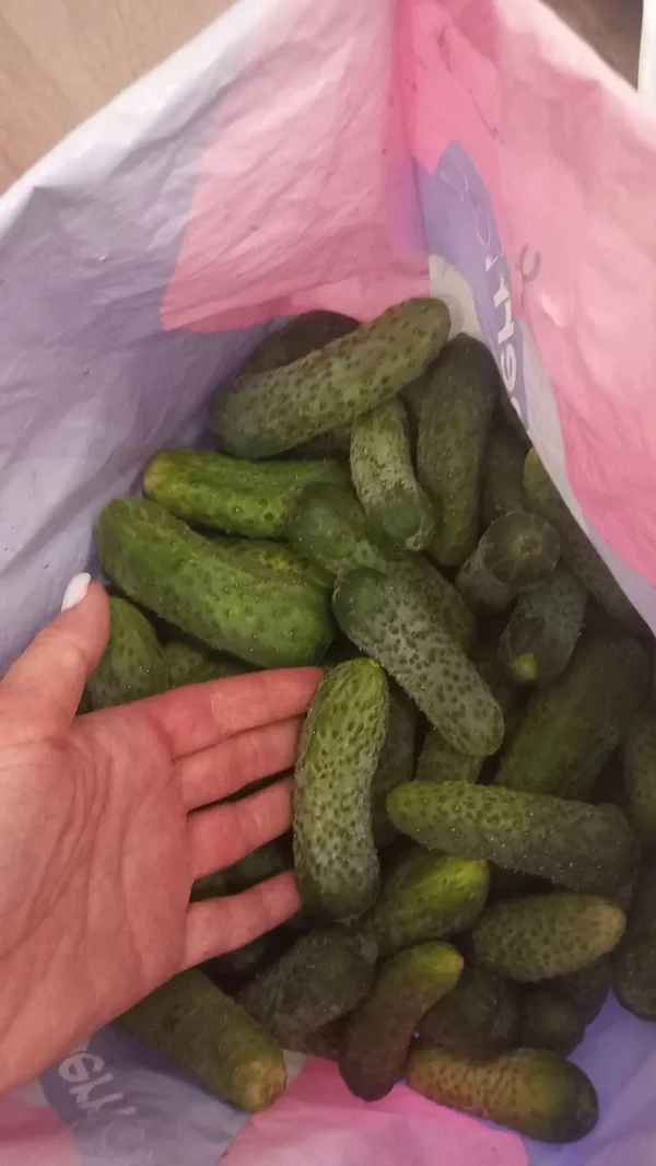 Огурцы для закрутки
