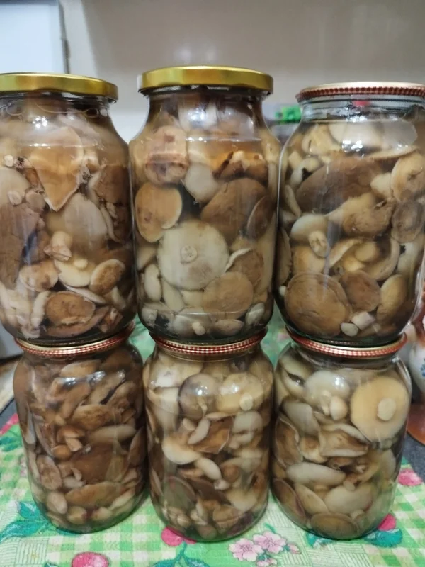 Маринованные маслята