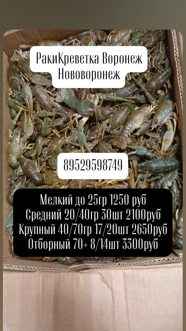 Раки